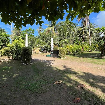 Paco'S Garden Home Stay Мамбахао Экстерьер фото