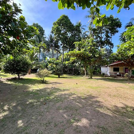 Paco'S Garden Home Stay Мамбахао Экстерьер фото