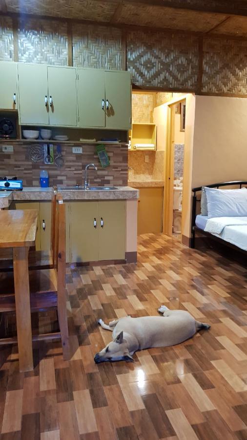 Paco'S Garden Home Stay Мамбахао Экстерьер фото