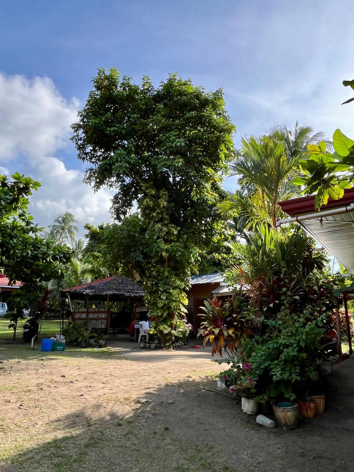 Paco'S Garden Home Stay Мамбахао Экстерьер фото