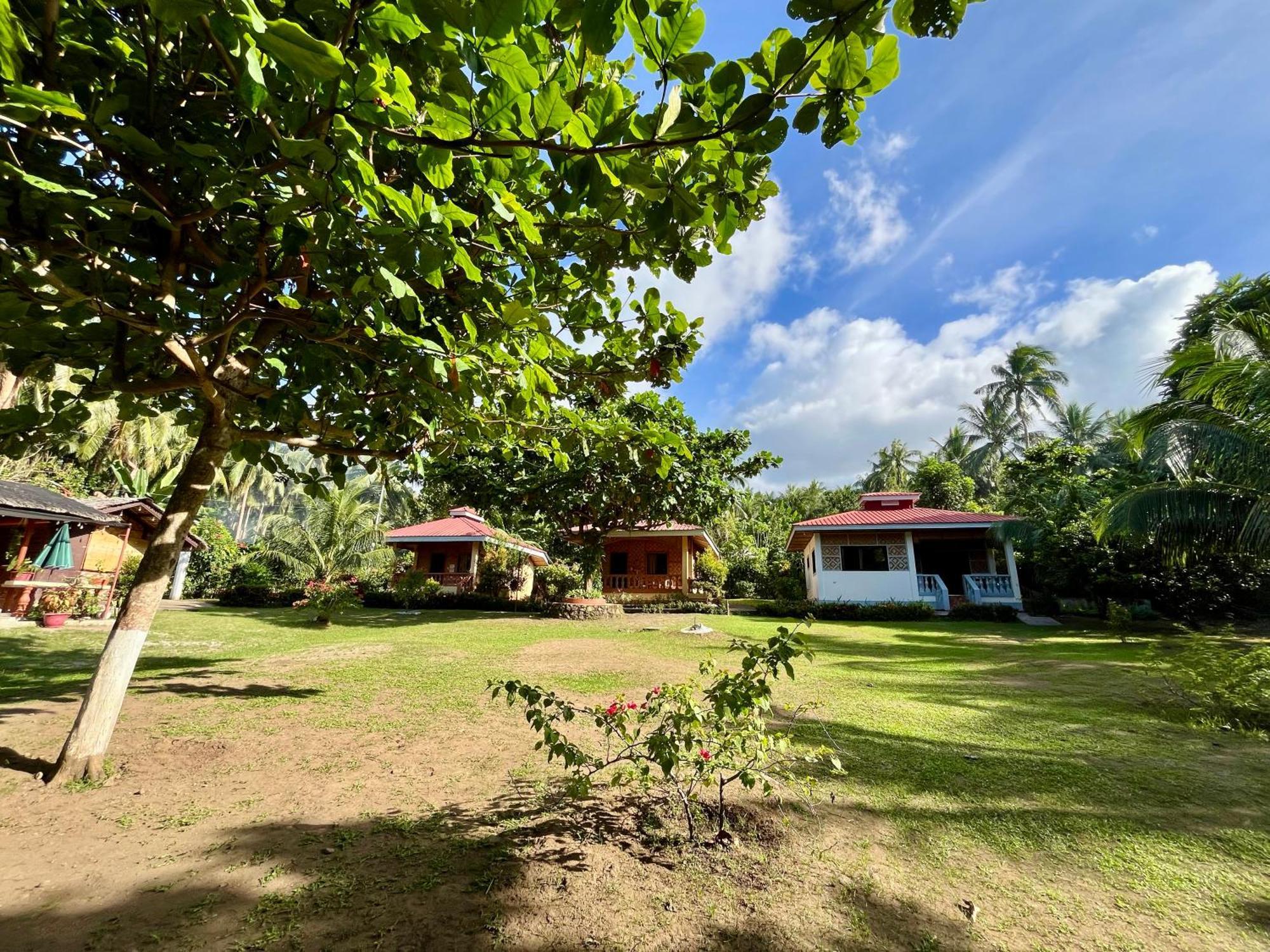 Paco'S Garden Home Stay Мамбахао Экстерьер фото